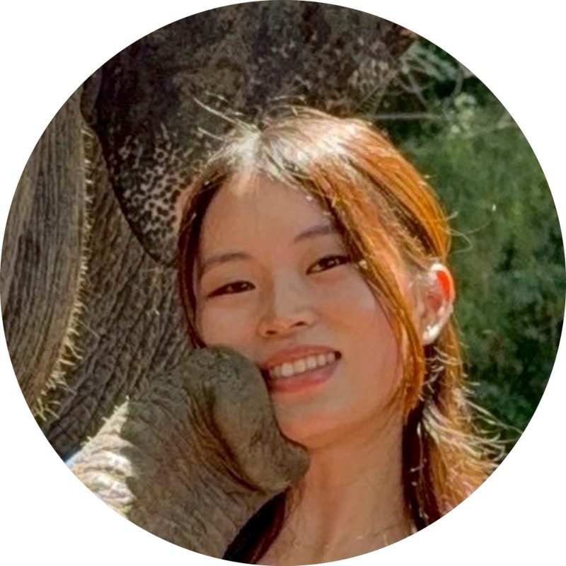 Kaede Saito